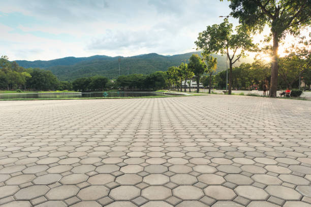 Best Concrete Paver Driveway  in Double Springs, AL