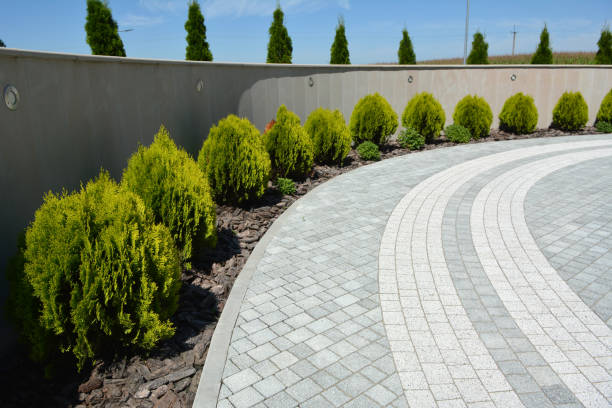Driveway Repair Near Me in Double Springs, AL